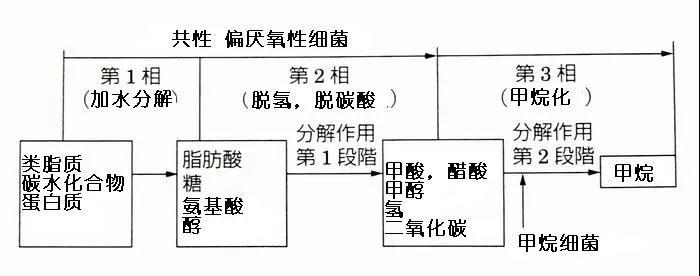 可回收再利用的塑料袋：可生物降解塑料(圖3)