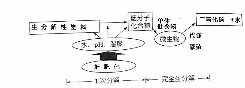 可生物降解環(huán)保塑料可以回收再利用嗎？(圖3)