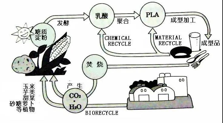 可生物降解環(huán)保塑料可以回收再利用嗎？(圖4)