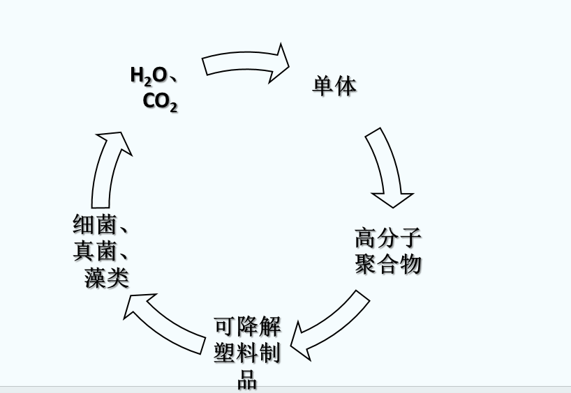 什么是可生物降解塑料？(圖1)